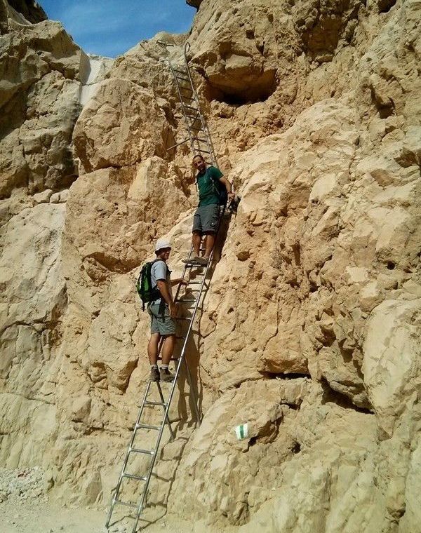 תמונה של סולמות בנחל צפית ונחל תמר - למטייל בישראל (טיולי)